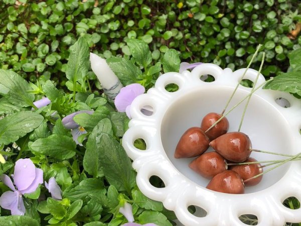 画像3: ドイツヴィンテージのコットンパール　【ワイヤー付きブラウン色　ペッパー型】2個　ペーパーマッシュ　　　　　 (3)