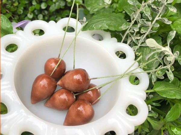 画像2: ドイツヴィンテージのコットンパール　【ワイヤー付きブラウン色　ペッパー型】2個　ペーパーマッシュ　　　　　 (2)