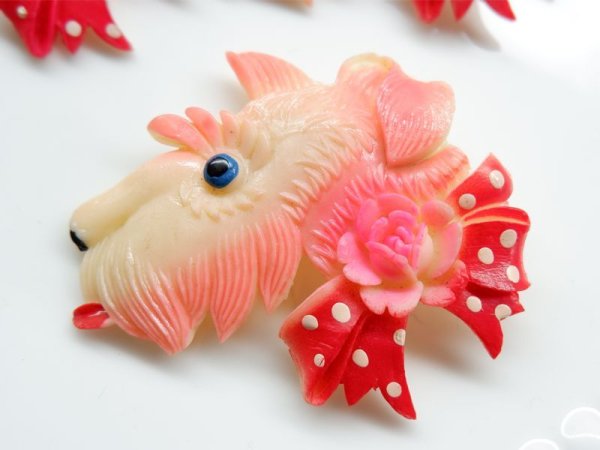 画像2: ジャパンヴィンテージ・オキュパイドジャパン　スコティッシュ・テリアのセルロイドブローチ54ミリ　1個　宅急便利用 (2)