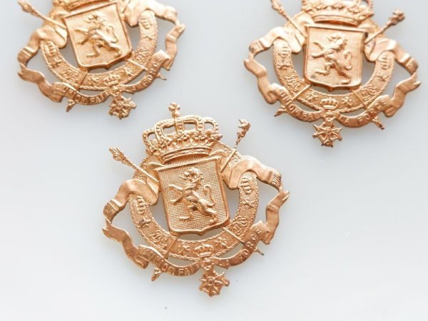 画像1: ヴィンテージUSA真鍮製スタンピング　紋章　エンブレム　1個 (1)