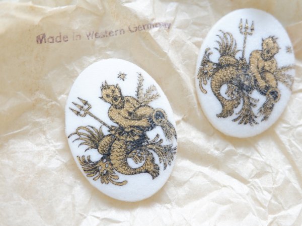 画像1: ドイツ ヴィンテージ　星座のカメオ　40×30ミリ【みずがめ座】1個 (1)