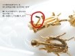 画像2: ヴィンテージBSK  昆虫ブローチ金具　※訳あり　　虫　バグ (2)